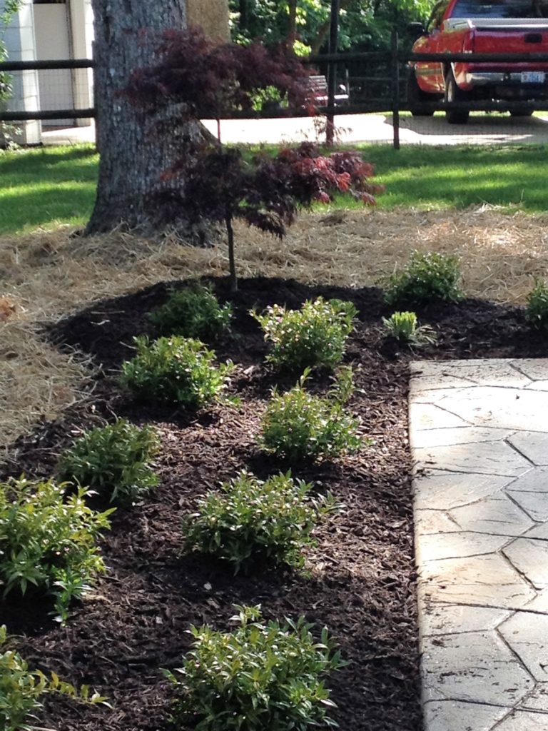 Landscaping and lawn care services