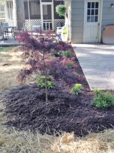 Landscaping and lawn care services