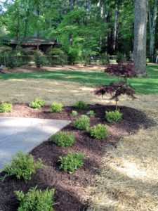 Landscaping and lawn care services