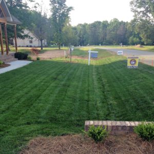 Greensboro lawn care services