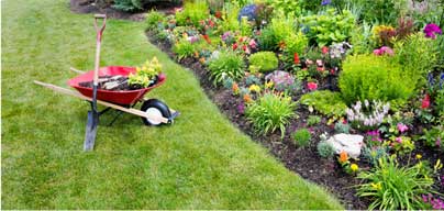 flower bed design and installation